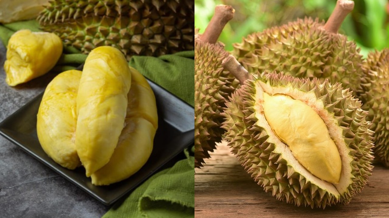 Manfaat Konsumsi Durian untuk Anak: Mendukung Energi dan Pertumbuhan!