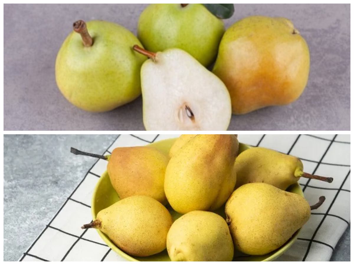 Kaya Serat dan Antioksidan, Ini Deretan Manfaat Buah Pir untuk Tubuh Sehat!