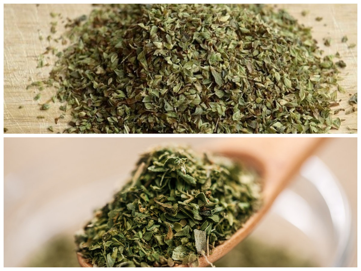 Manfaat Teh Oregano untuk Tubuh Sehat yang Perlu Kamu Tahu