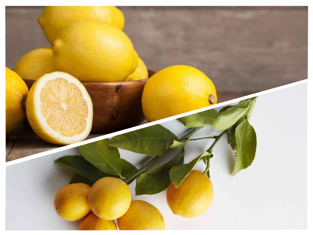Apa Saja Manfaat dan Bahaya Buah Lemon? Simak Ulasannya di Sini!