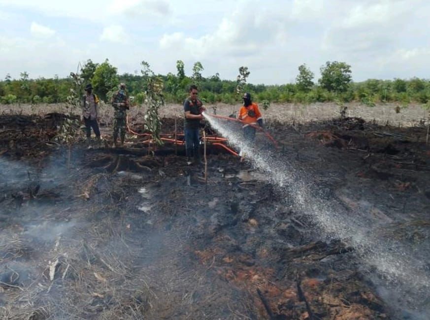 Karhutla di Sumsel Hampir  3.000 Hektar, Daerah Ini Paling Parah Luas Kebakaranya