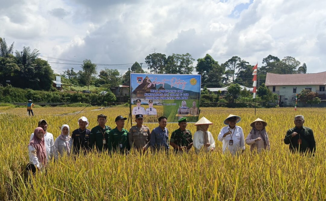 Pagar Alam Surplus Beras, Stafsus Kementaan RI Monitoring LTT dan Oplah di Tebat Gunung