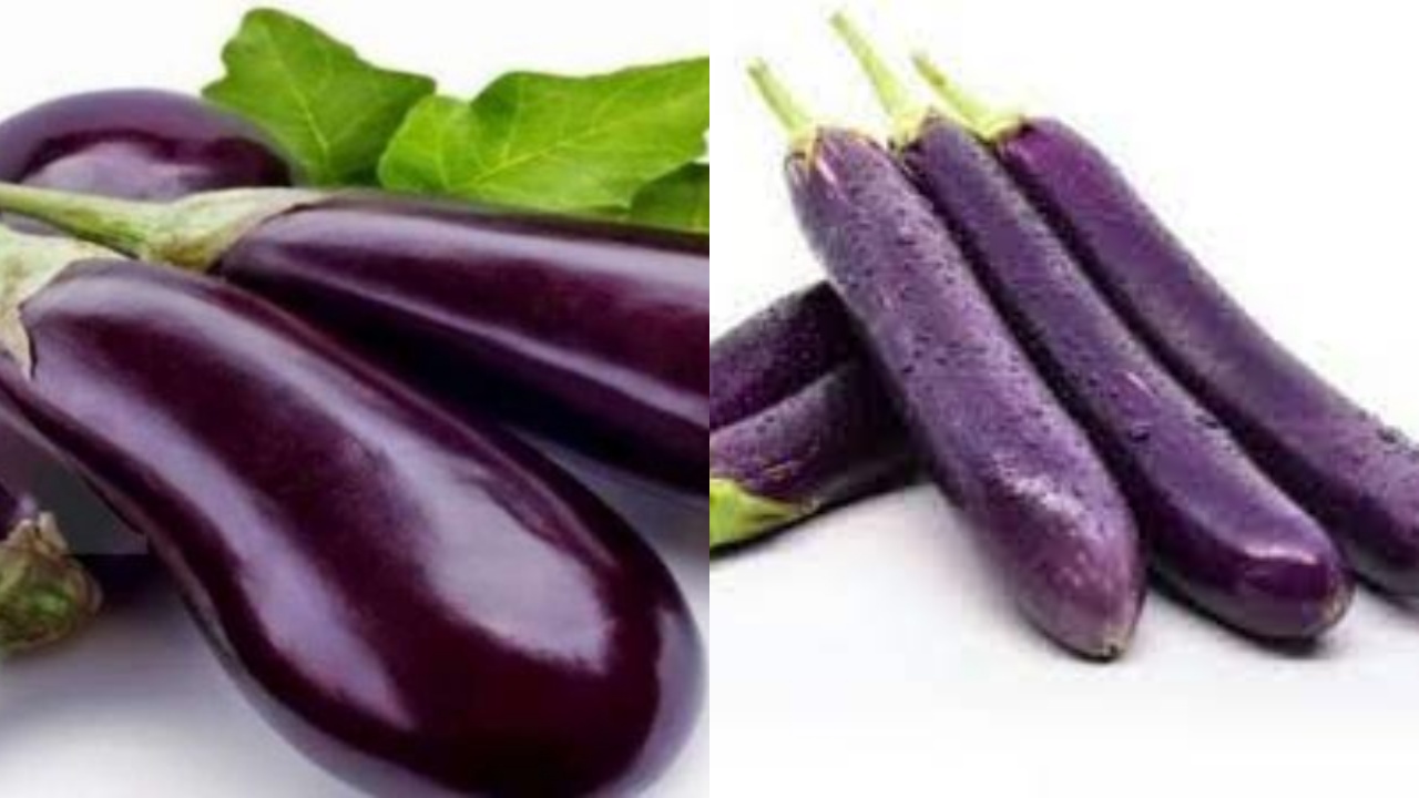 8 Manfaat Terong Ungu untuk Kesehatan Tubuh, Bisa Bantu Jaga Kesehatan Jantung 