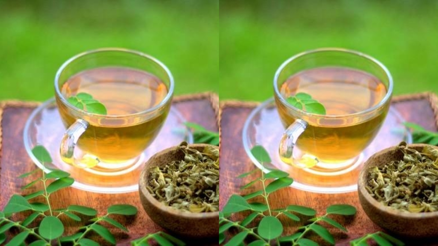 Beragam Manfaat Teh Daun Kelor Yang Jarang Diketahui Intip Disini! 