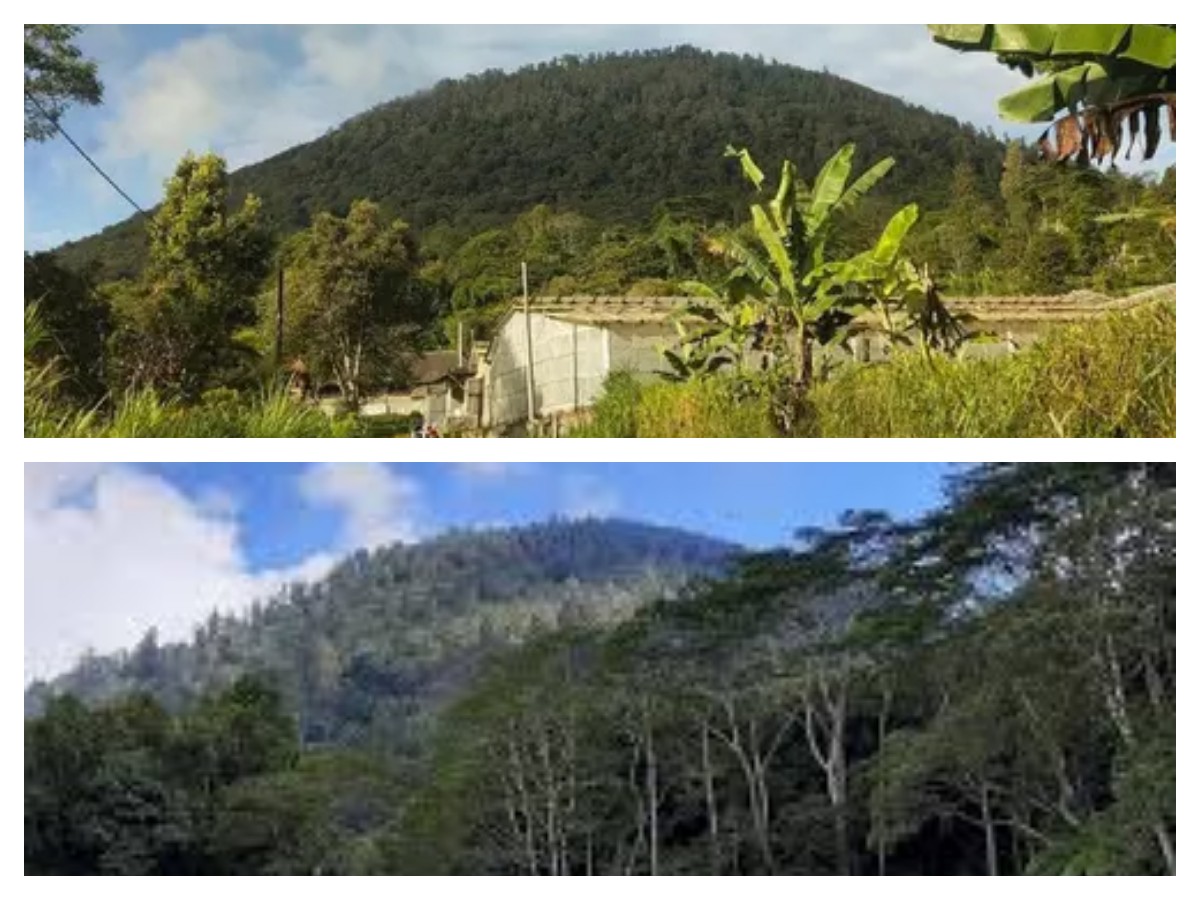 Mengungkap Rahasia Gunung Pohen: Asal-Usul Nama dan Legenda yang Hidup