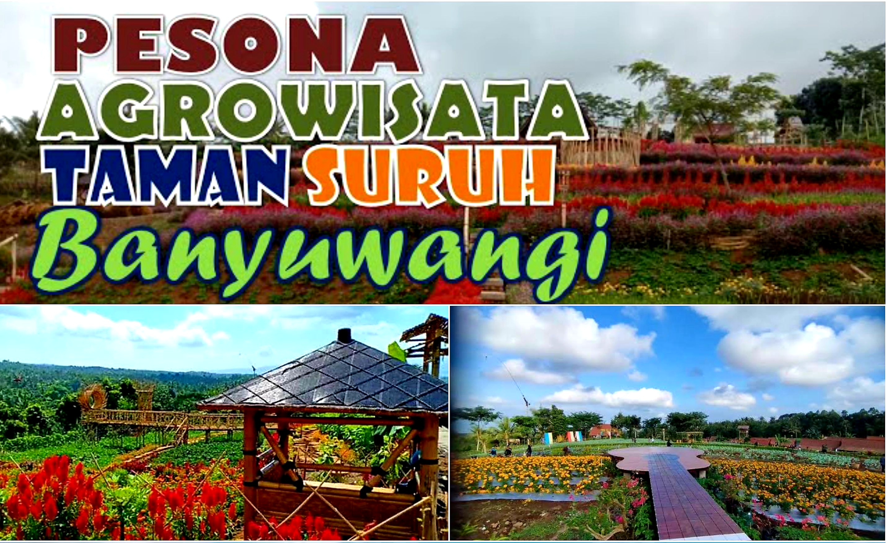 Keindahan Agrowisata Taman Suruh Banyuwangi Menawan. Ini Daya Tariknya!