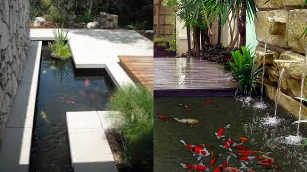 Rekomendasi Kolam Minimalis Depan Rumah, Rumah Terlihat Lebih Mewah!