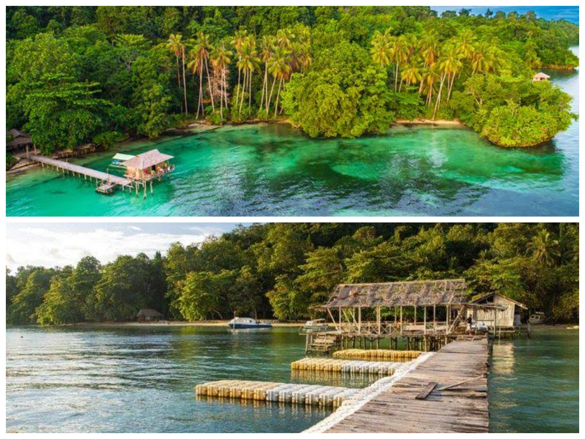 Petualangan Menelusuri Hutan Rimba Pulau Waigeo, Pusat Wisata di Raja Ampat