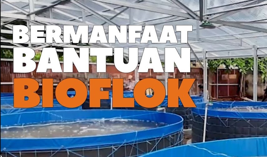 Ciptakan Kemandirian, Bersaing di Dunia Luar