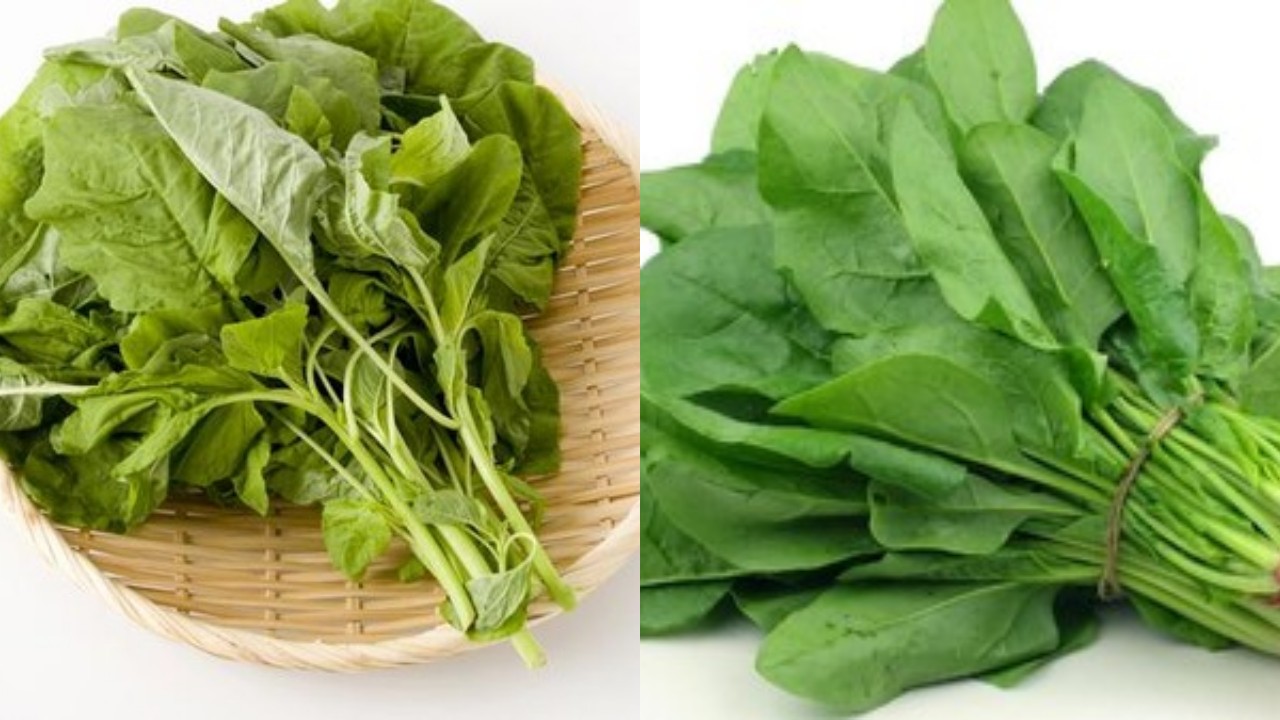 Rahasia Sehat dari Bayam: Manfaat Lengkap untuk Tubuh!