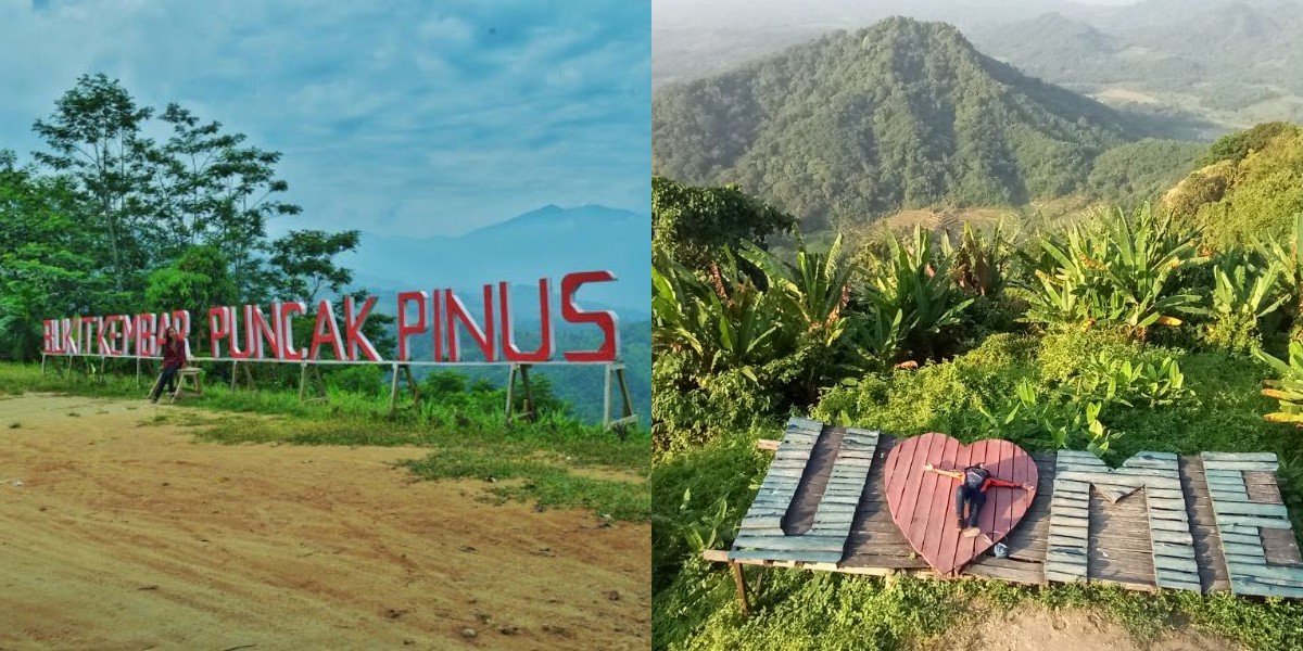 Bukit Kembar Puncak Pinus, Surga Tersembunyi di Karawang  yang Instagramable