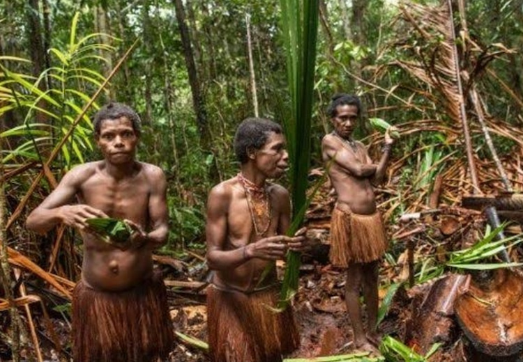 Tradisi Aneh dan Mengerikan! Suku Fore Punya Tradisi Memakan Daging Manusia Sebagai Penghormatan 