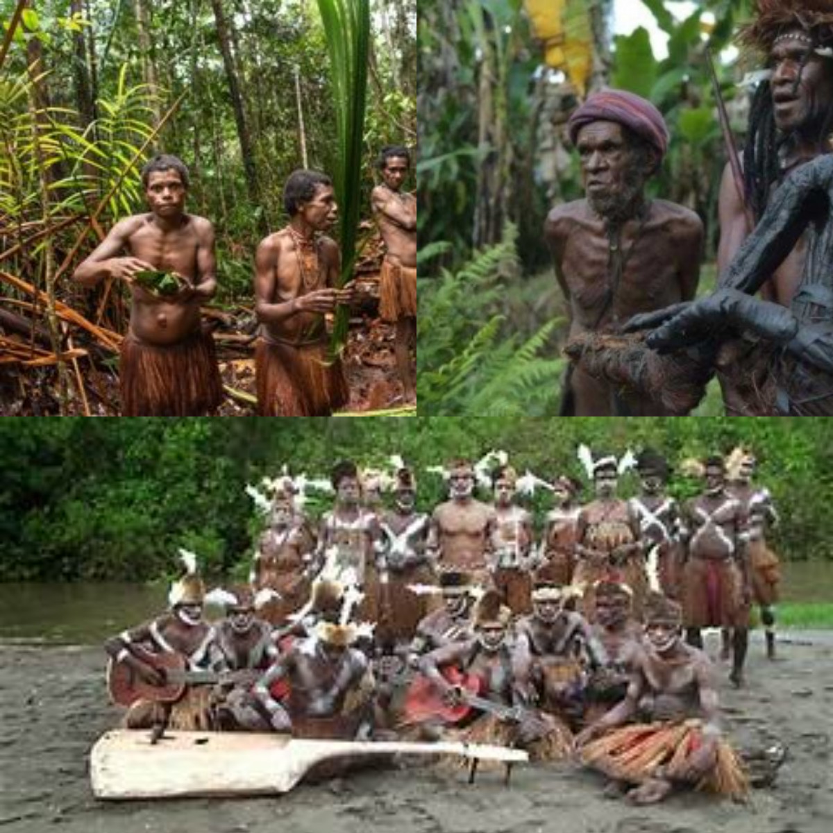 Wow! Ternyata Suku Papua Ini Masih Terapkan Tradisi Nyeleneh, Soal Kanibalisme!