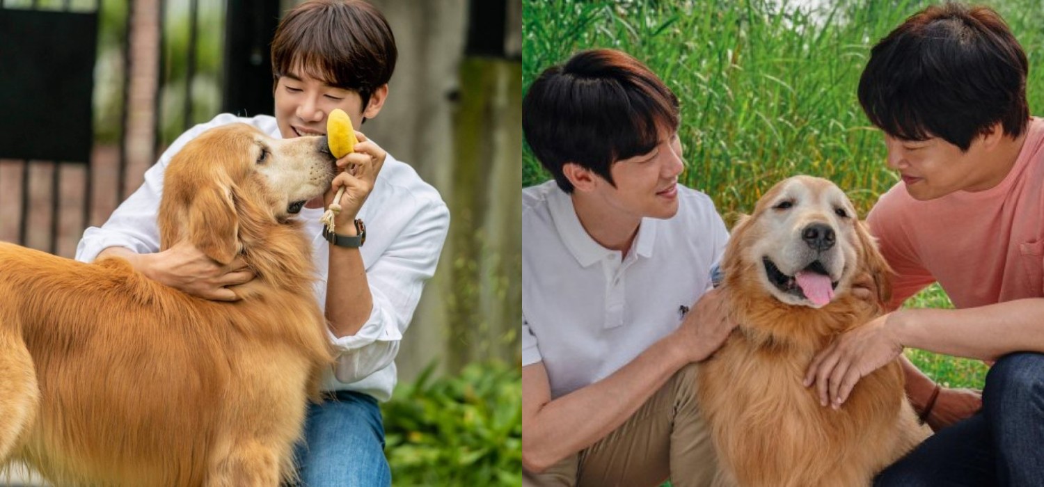 Sinopsis Film Korea My Puppy, Cocok Buat Kamu Yang Ngakunya Pecinta Hewan