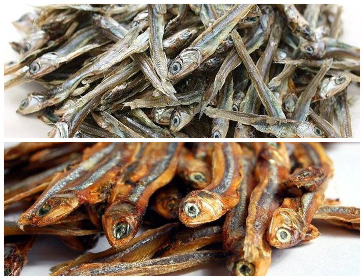 Mengenal 5 Keunggulan Nutrisi Ikan Teri sebagai Sumber Protein Berkualitas