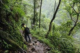 Fakta Menarik tentang Gunung Salak, Keajaiban dan Keunikan yang Perlu Anda Ketahui