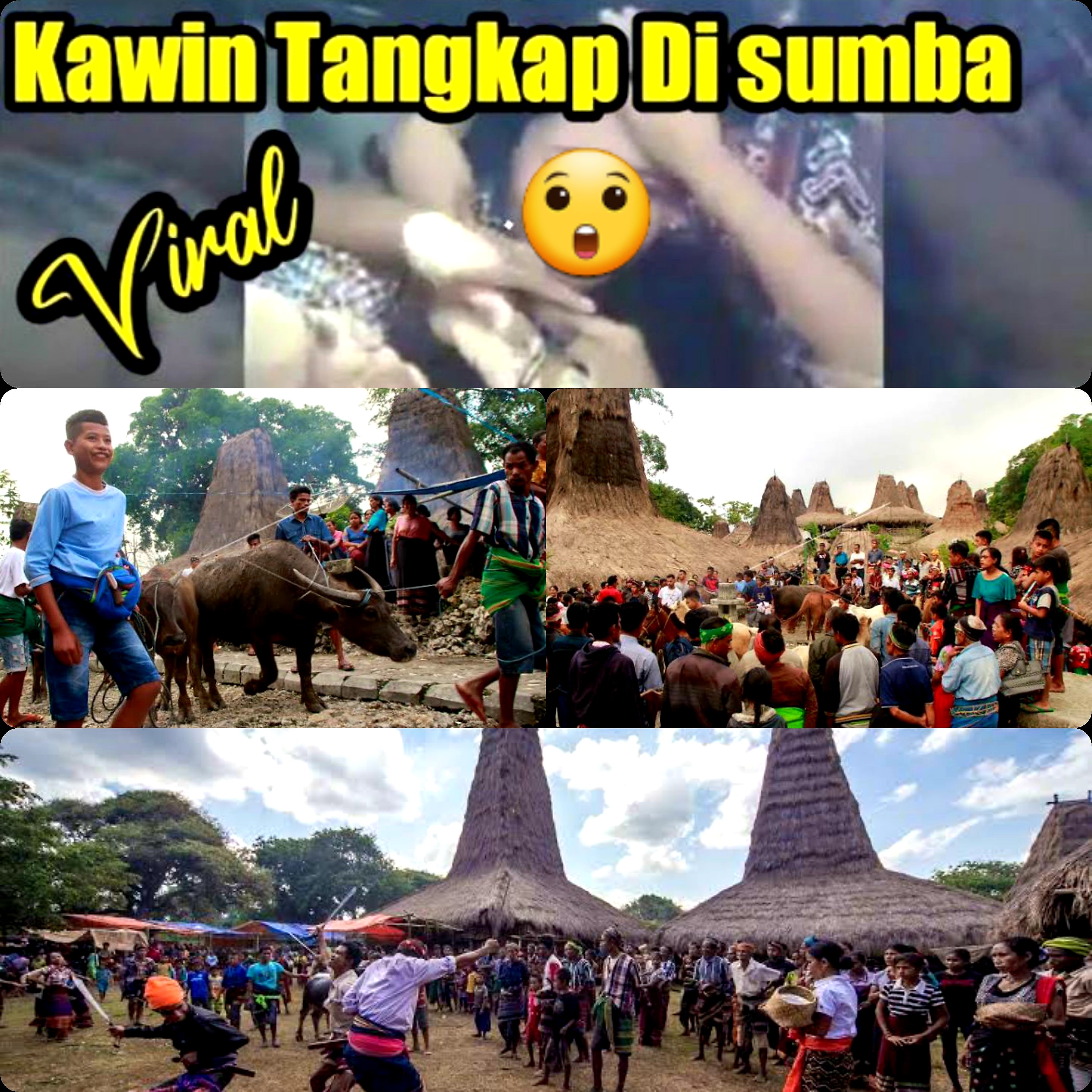 Viral dan Kontroversi! Kawin Tangkap Sumba Nusa Tenggara Timur. Tradisi Pemaksaan Berbalut Tradisi Budaya?