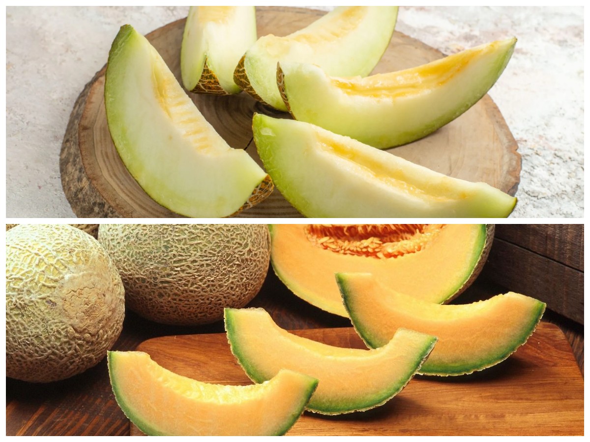 Rutin Konsumsi Melon? Ini Manfaatnya yang Bisa Bikin Tubuh Lebih Sehat
