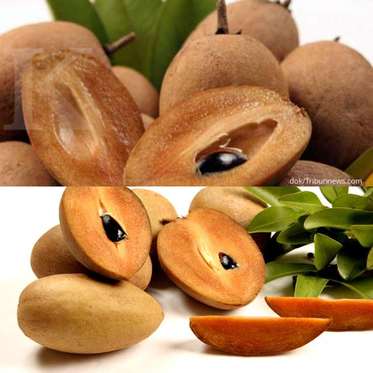 Manfaat Buah Sawo untuk Kesehatan yang Tak Boleh Dilewatkan!