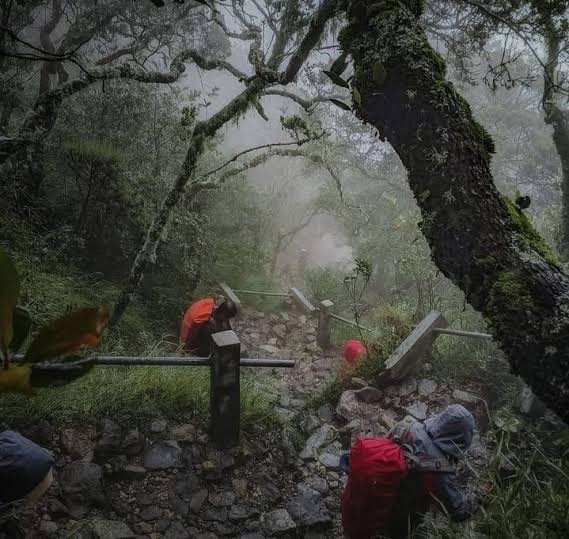 Wow! Ternyata Gunung Lawu Jadi Tempat Peristirahatan Terakhir Para Wali dan Tokoh Spiritual Loh