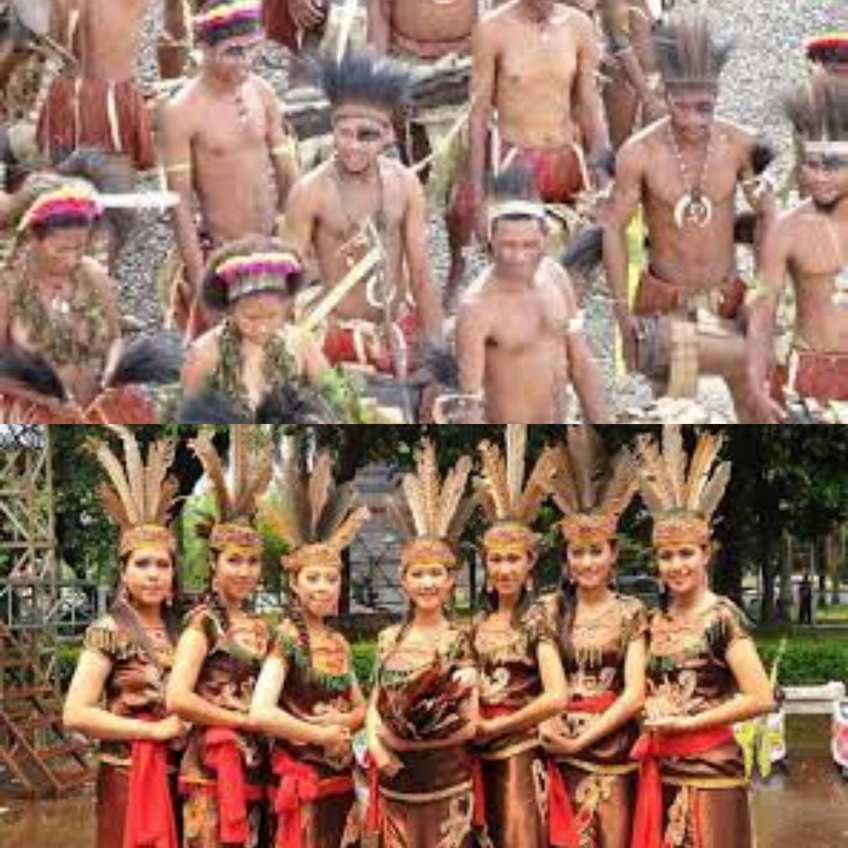 Mari Mengulik Perbedaan Budaya dan Adat Suku Papua dan Kalimantan 