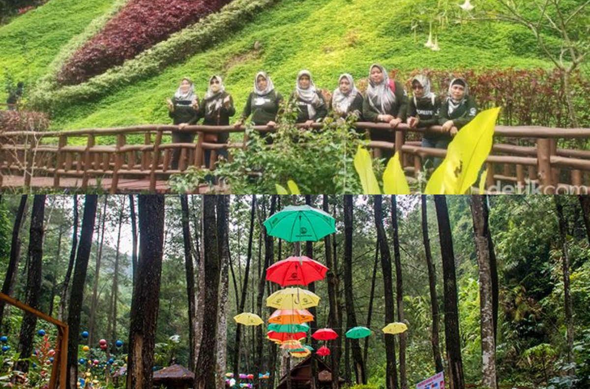 Liburan ke Jawa Timur? Yuk Kunjungi 5 Destinasi Wisata yang di Suguhkan di Ngawi 