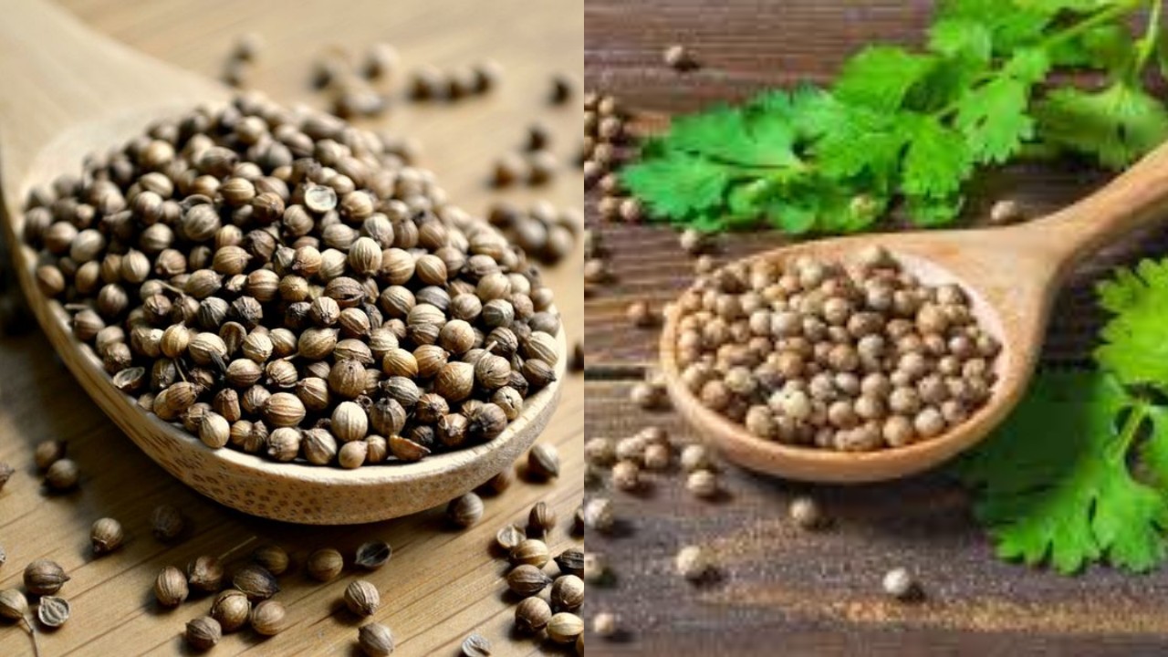 Redakan Nyeri Haid Tanpa Obat, Ini Manfaat Air Rebusan Ketumbar!