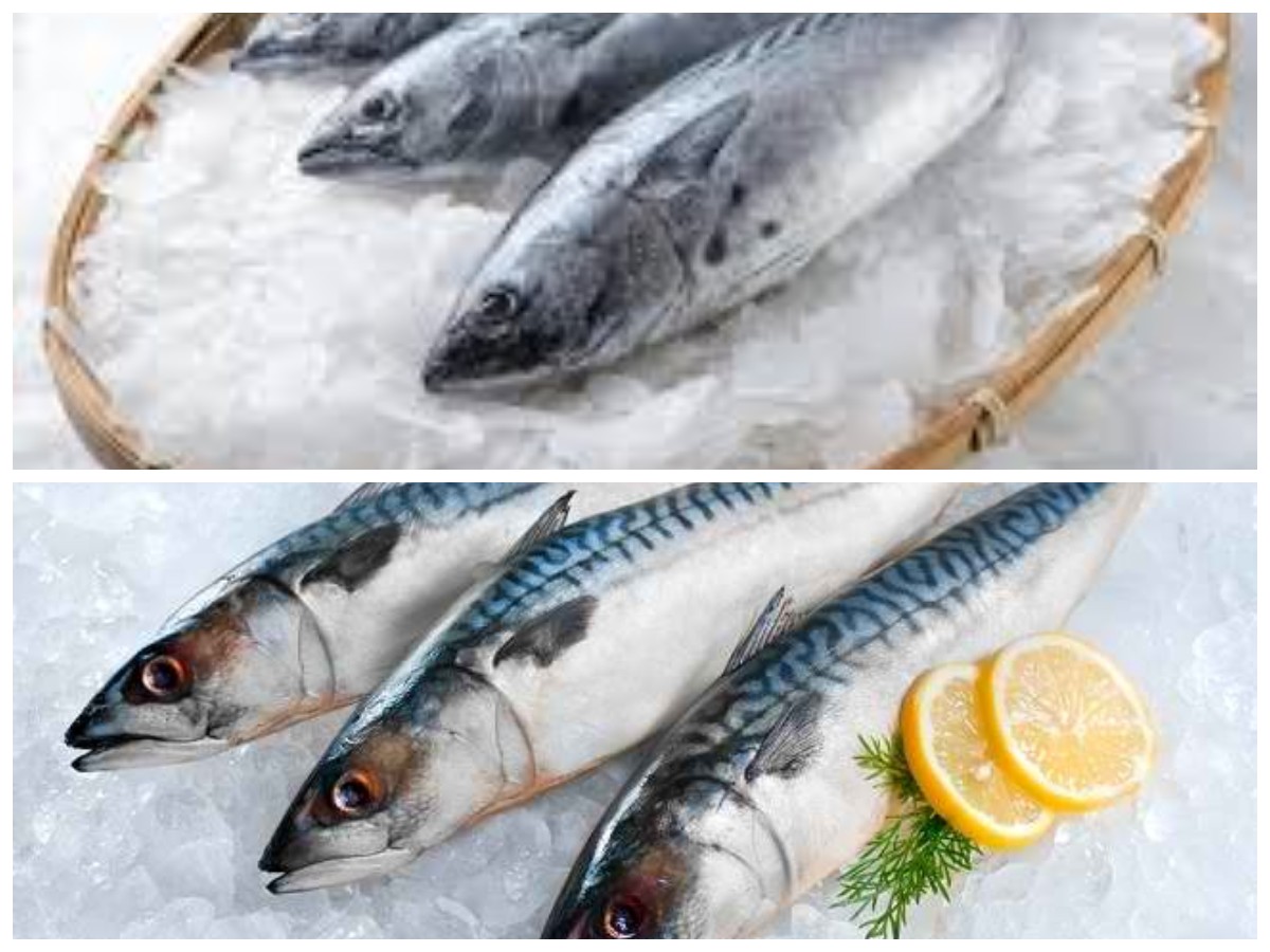 Kaya Gizi, Ini Deretan Manfaat Ikan Tongkol dan Cara Aman Mengolahnya