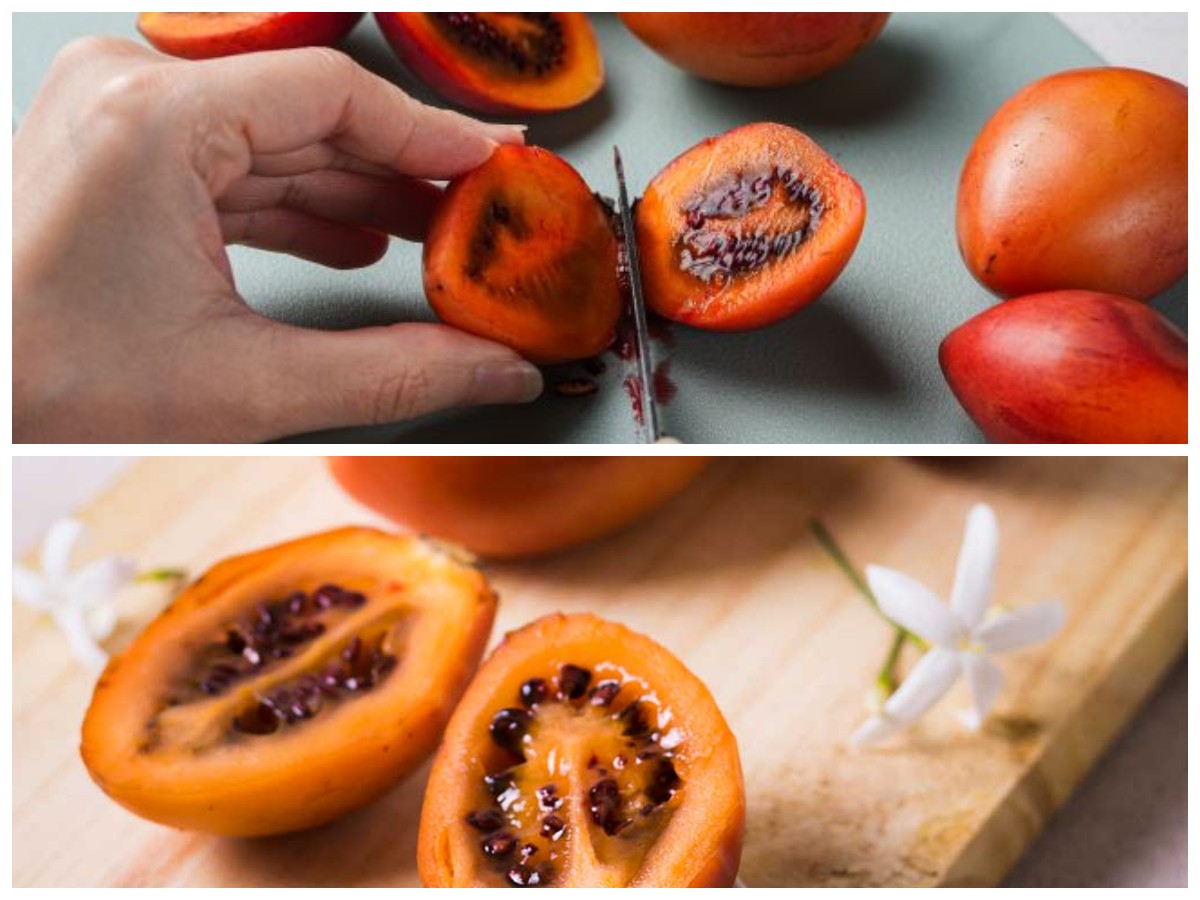 9 Khasiat Terong Belanda yang Wajib Kamu Tahu untuk Jaga Kesehatan