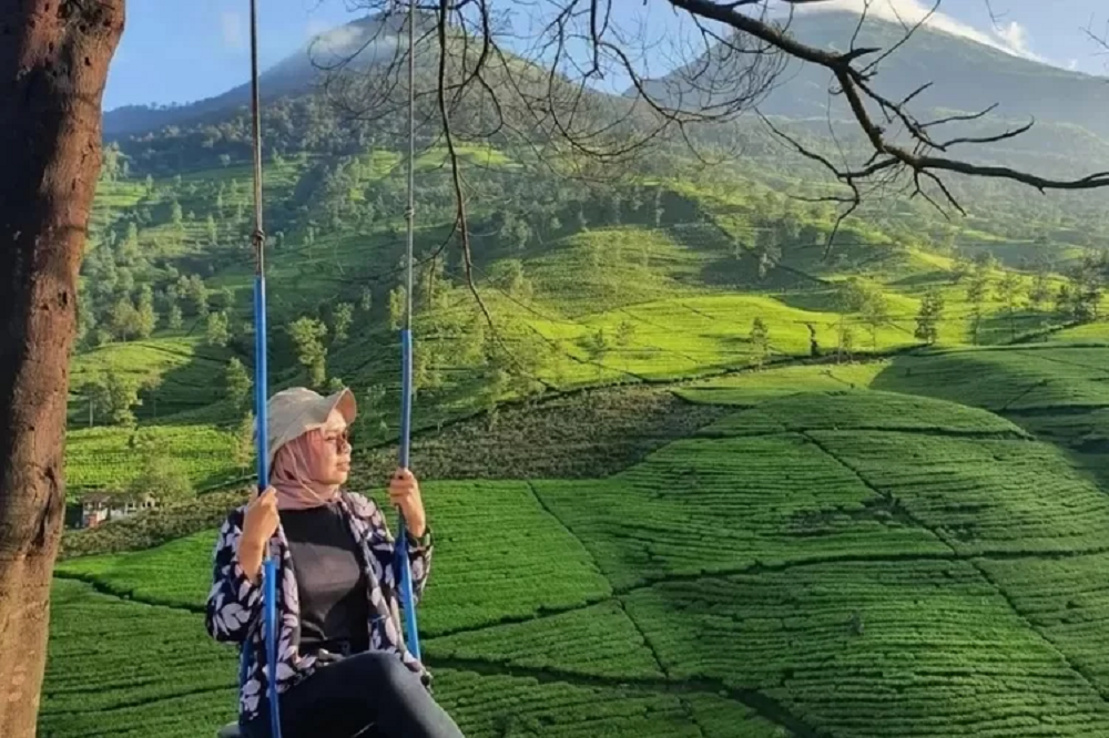 Pesona Gunung Cilik Wonosobo, Menjelajahi Perkebunan Teh Yang Sangat Tekenal Instagramable!
