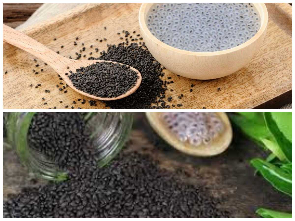 Multifungsi dan Menyehatkan, Inilah 9 Khasiat Biji Selasih dalam Minuman dan Makanan!