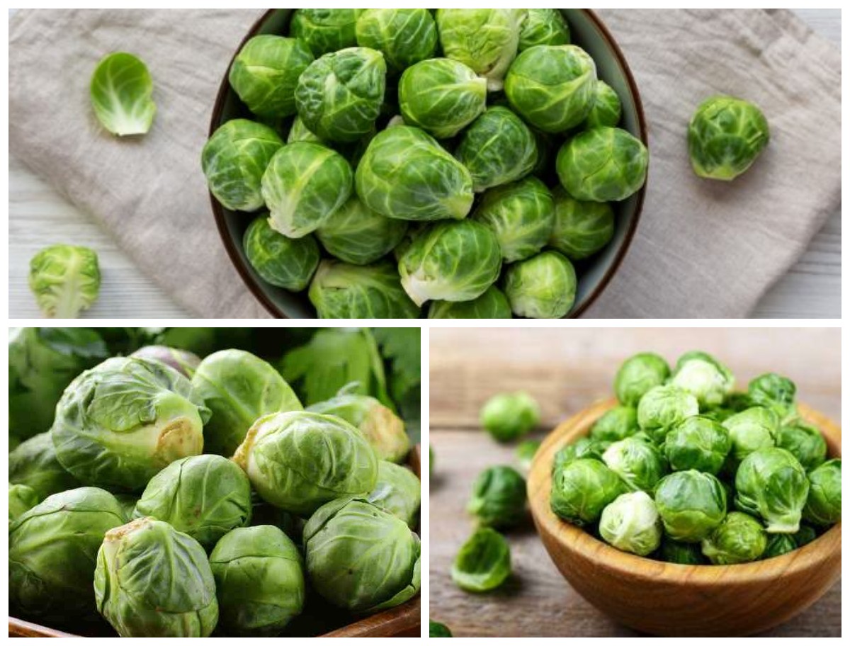 Kubis Mini Penuh Khasiat: Manfaat Kubis Brussel bagi Kesehatan Tubuh yang Luar Biasa!