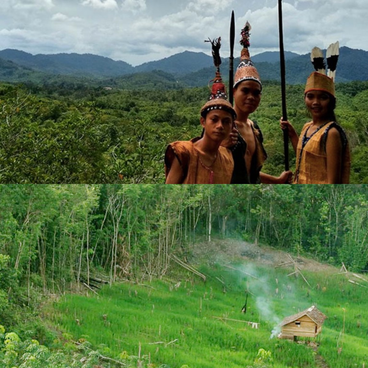 Warisan Alam Kalimantan Terancam! Apa yang Bisa Dilakukan oleh Suku Dayak?