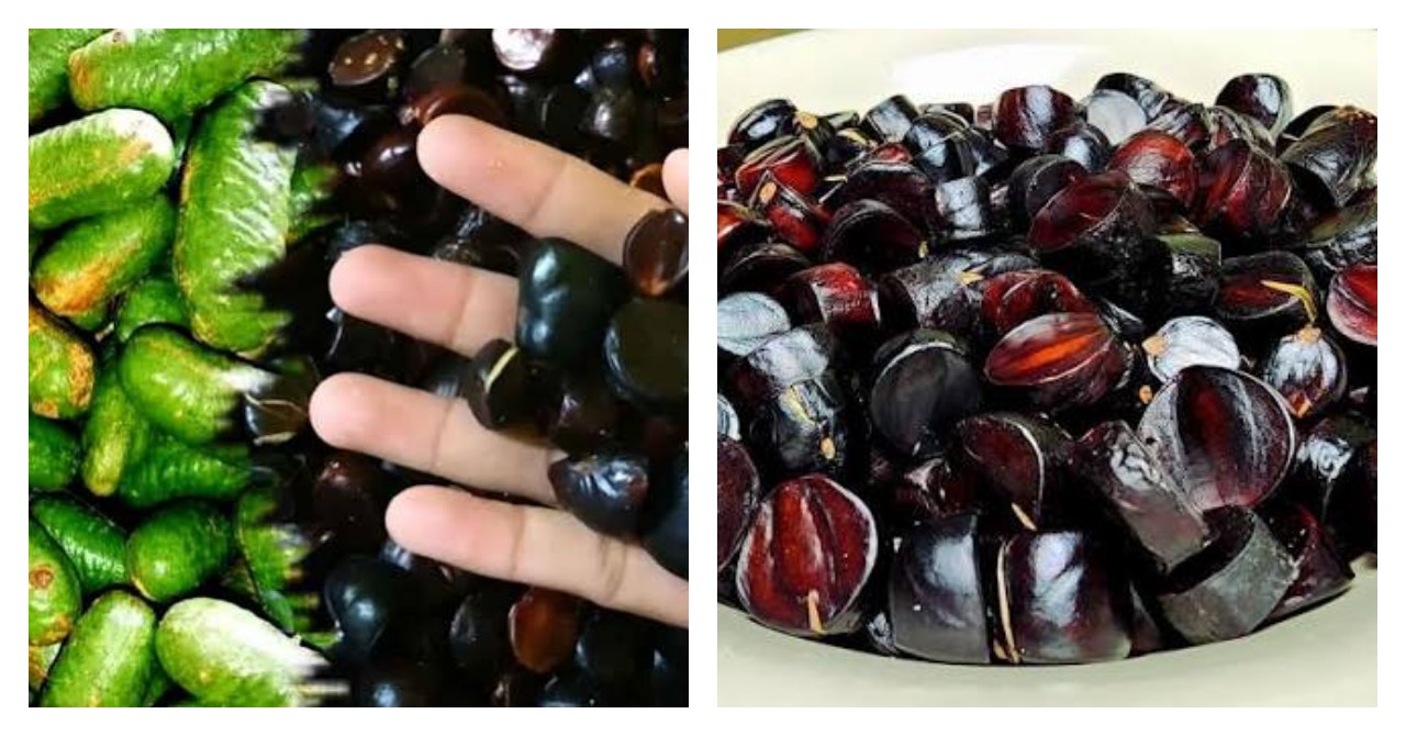 Khasiat Buah Kabau, Si Hitam dengan Beragam Potensi Manfaat