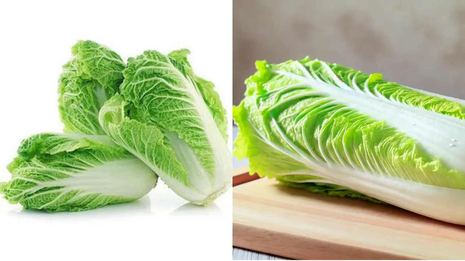 Yuk Intip! Beragam Manfaat Sawi Putih Untuk Kesehatan Tubuh Yang Jarang Diketahui 