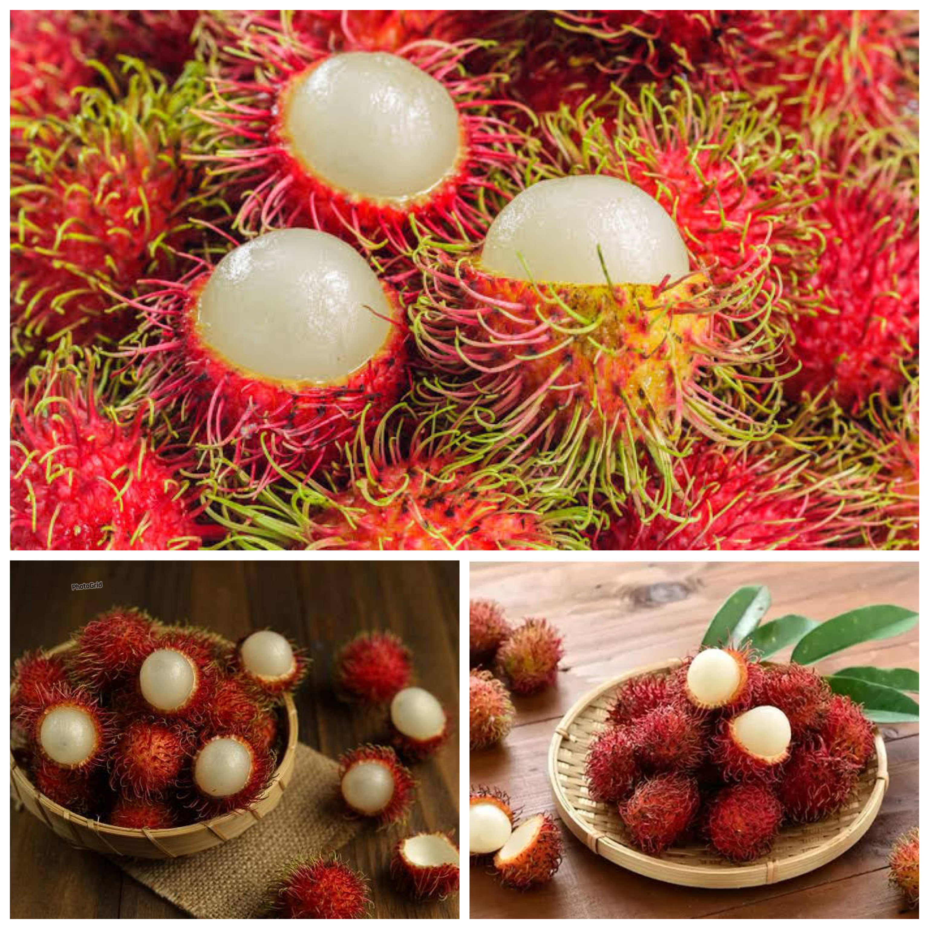 Mengungkap Manfaat Buah Rambutan bagi Kesehatan Tubuh: Dari Kekebalan hingga Kesehatan Jantung!