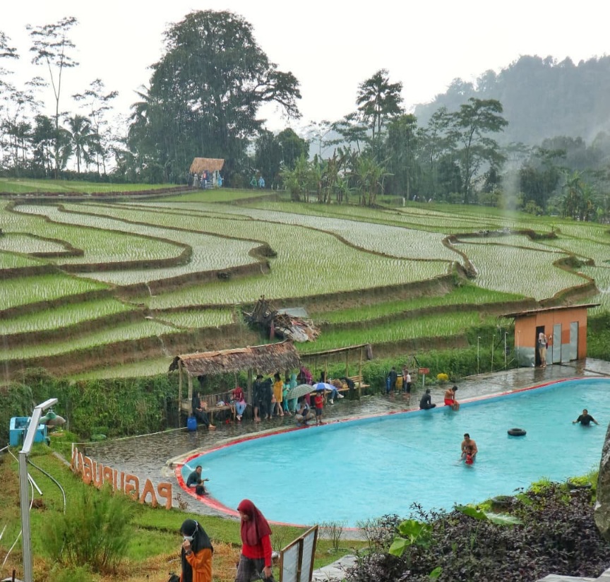 Unik, Ada Kolam Renang Ditengah Sawah, Kamu Wajib Sensasinya Kesini