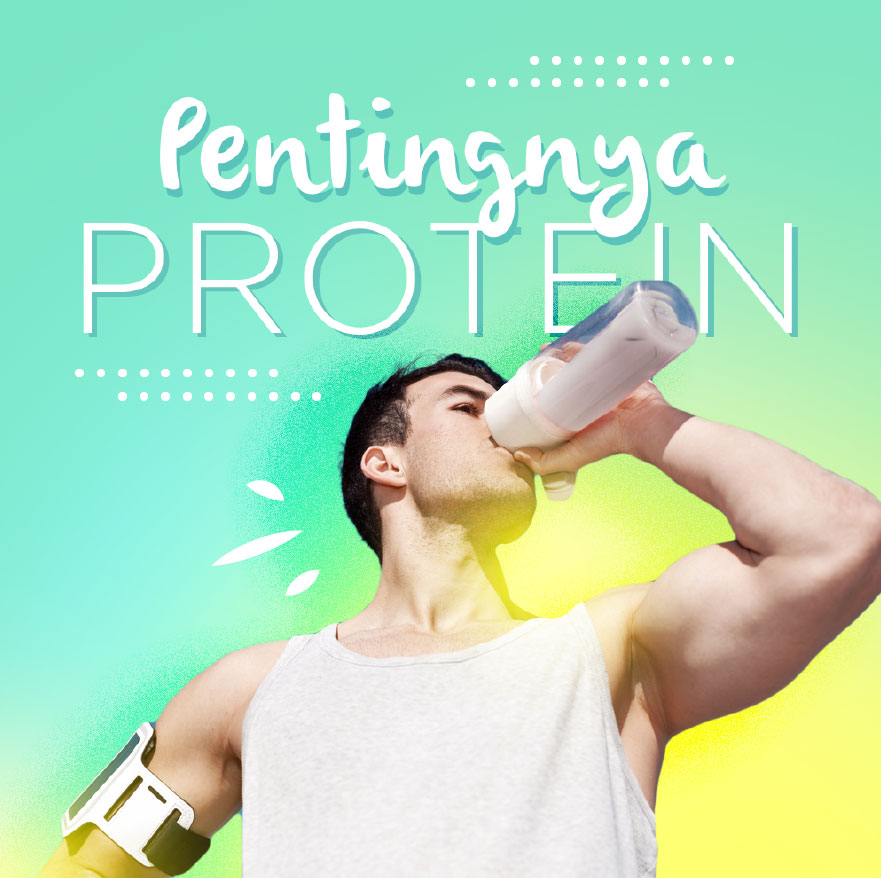 Rahasia di Balik Protein: Kunci Pertumbuhan & Regenerasi Sel yang Jarang Diketahui!