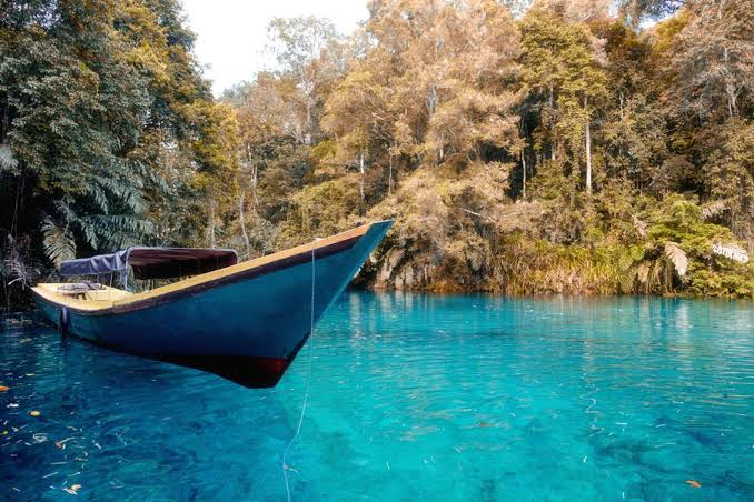 Eksotisme Kalimantan, Mengungkap Keindahan dan Keanekaragaman Wisata di Borneo