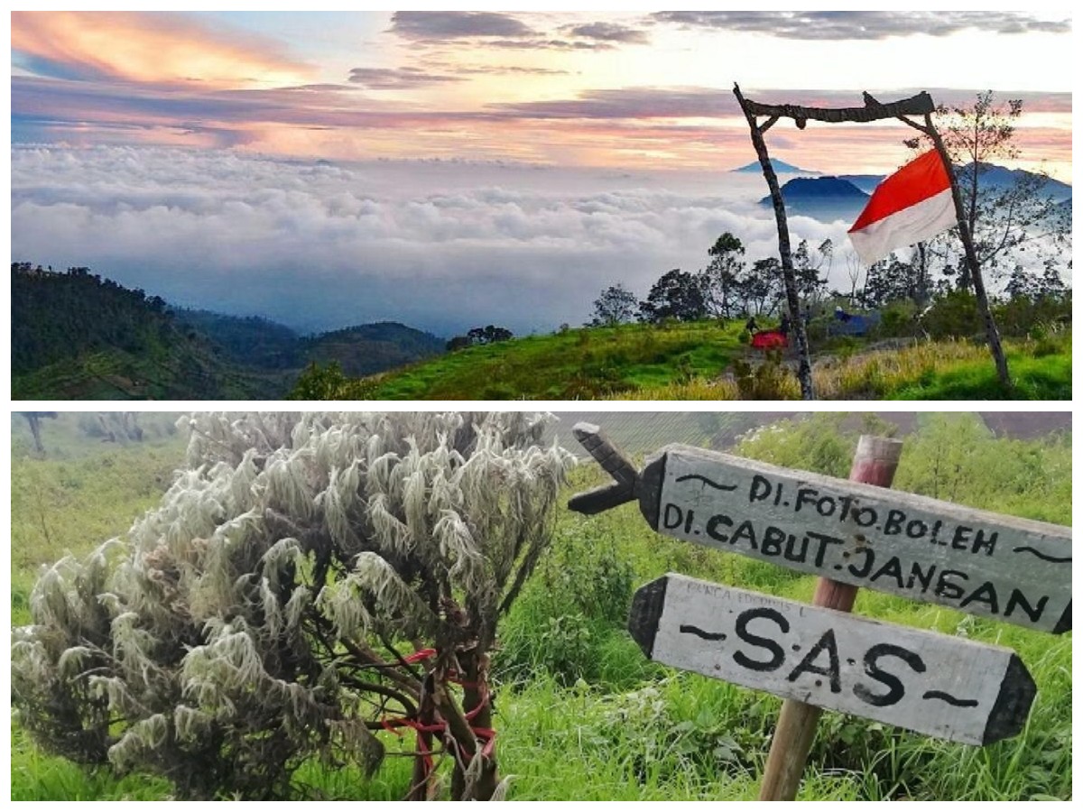 Sejarah Puncak Artapela: Keindahan Alam dan Jejak Legenda di Tanah Sunda!
