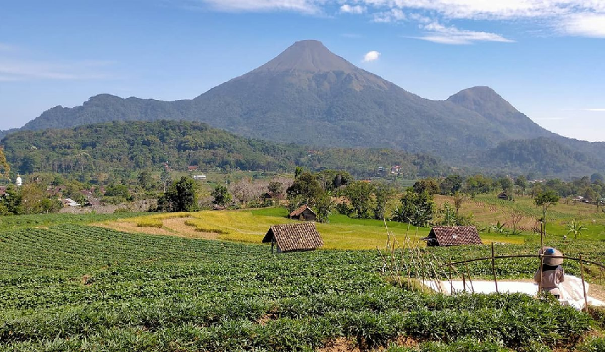 Pesona Gunung Penanggungan: Mengungkap Sejarah dan Mitos yang Menyertainya