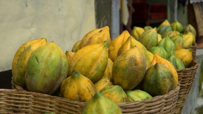 Manfaat Buah Carica yang Wajib Kalian Ketahui Khasiatnya!