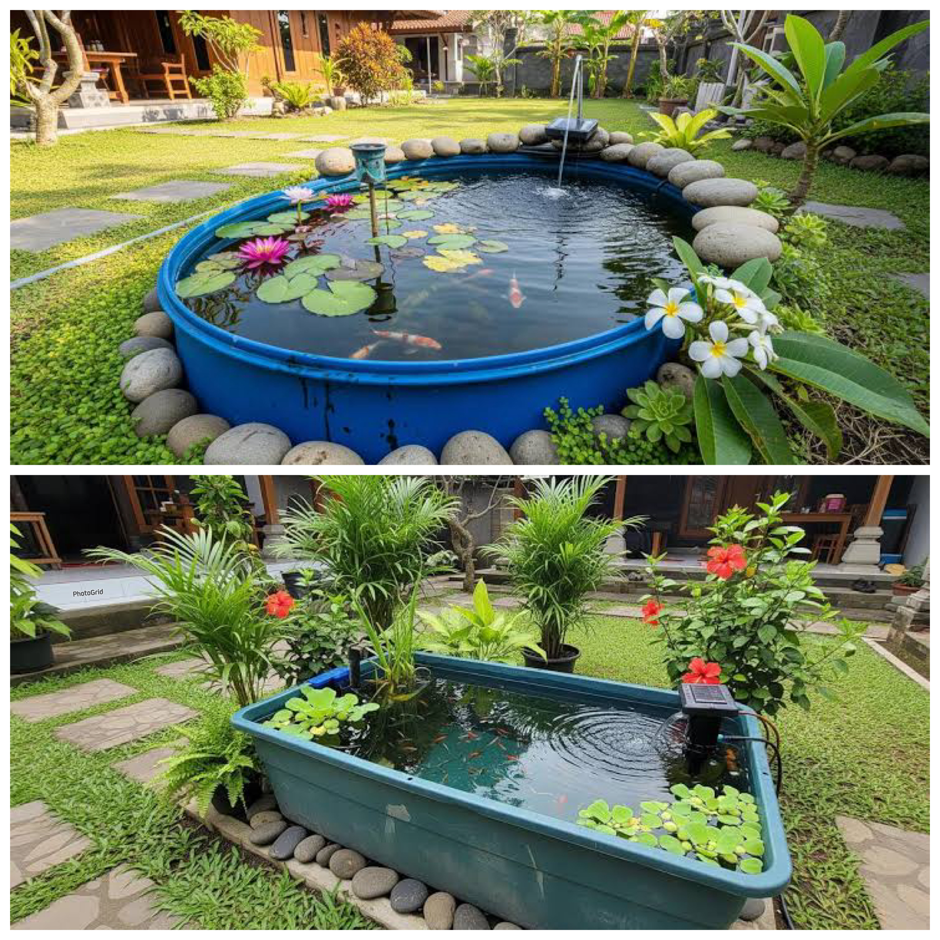 Tak Perlu Gali Tanah! 7 Model Kolam Ikan Praktis yang Bikin Rumah Makin Adem!