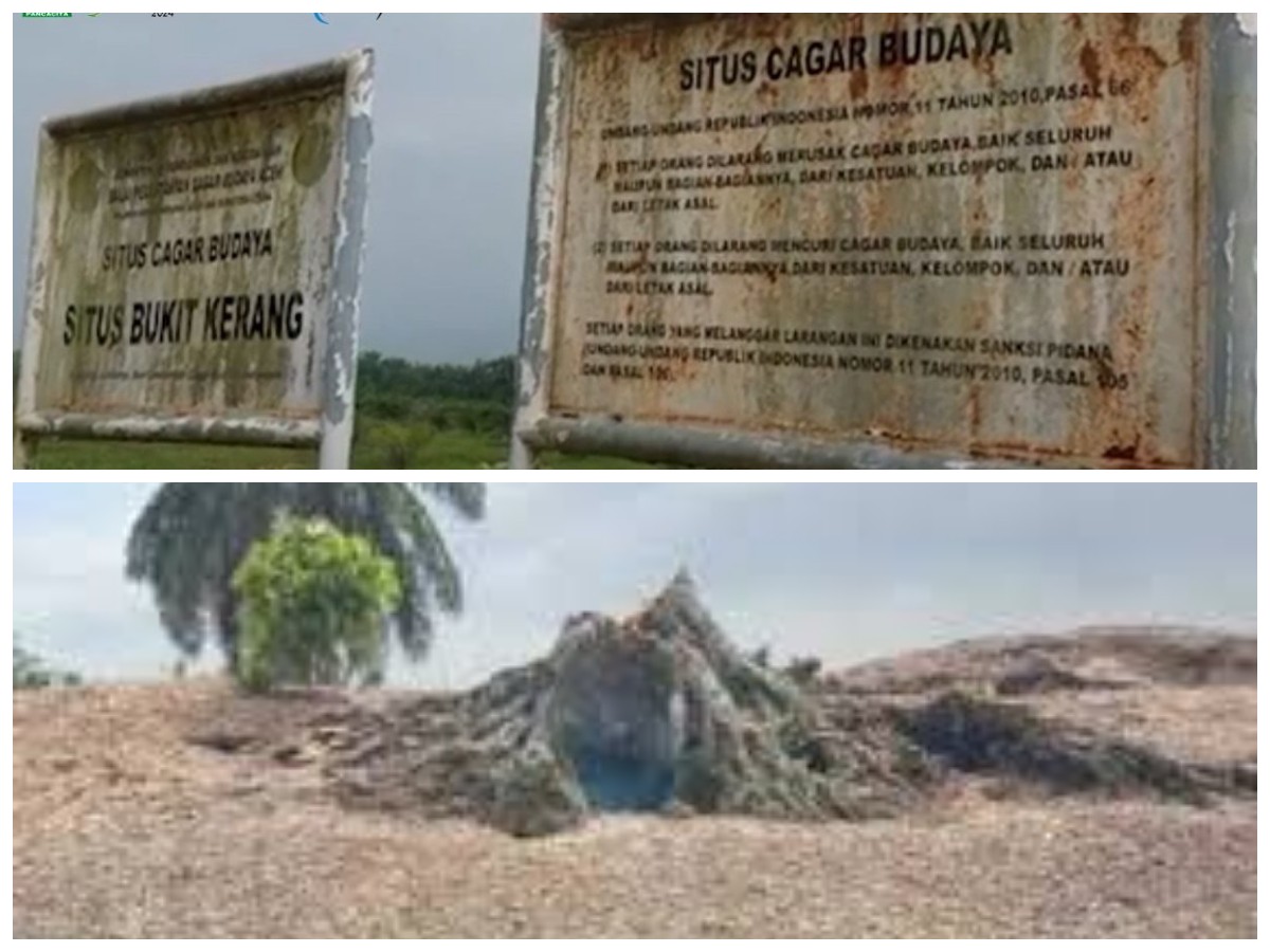 Bukit Kerang Nusantara: Melacak Sejarah dan Kehidupan Prasejarah di Tepi Laut