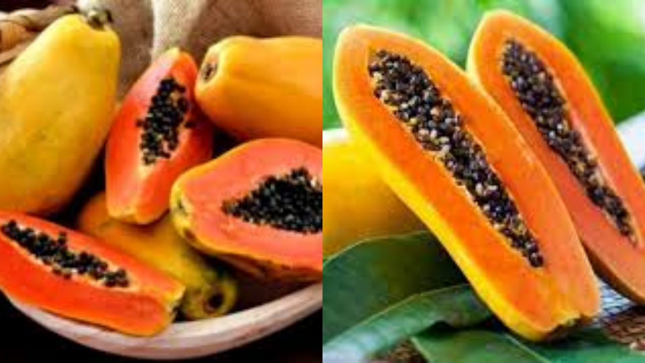 Meningkatkan Kekebalan Tubuh Ini Manfaat Pepaya Untuk Kesehatan Yang Jarang Diketahui!