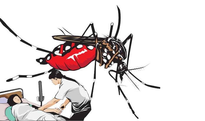 Waspada! Musim Hujan, Momen Kritis Demam Berdarah Dengue, Ini Imbauan Lurah Prahu Dipo!