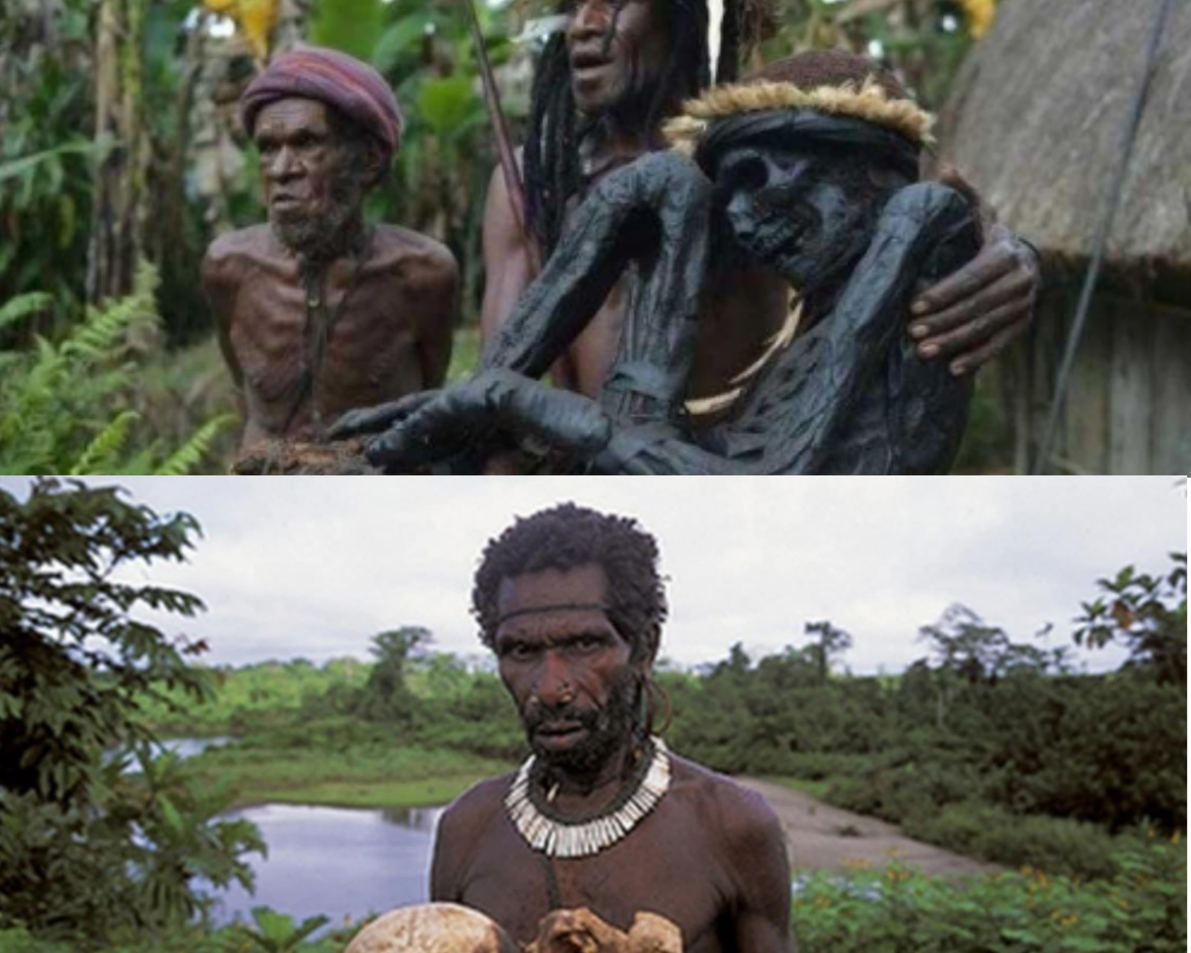 TOP 5 Suku Asli Papua Yang Tradisi Paling Unik dan Paling Bikin Takjub, Ini Daftarnya! 