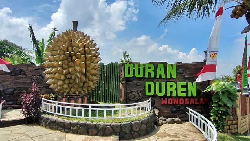 Agrowisata Duren Duren Wonosalam Jombang Taman Buah Yang Bikin Nagih