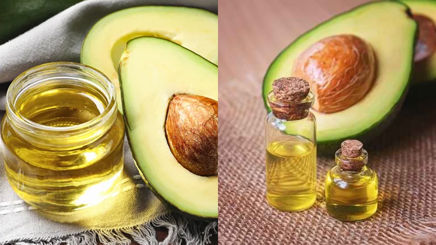 Yuk Coba 7 Manfaat Minyak Alpukat Untuk Kesehatan Tubuh Yang Luar Biasa Khasiatnya! 