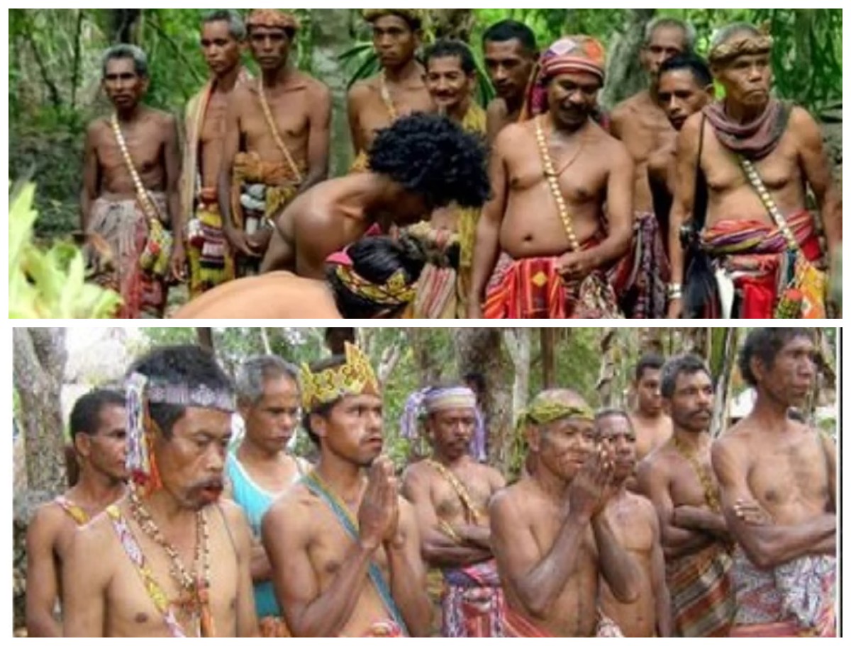 Menyikapi Sejarah Suku Dawan: Jejak Leluhur dan Warisan Budaya di Tanah Timor!